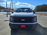 New 2025 Ford F150 XL image 4