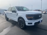 New 2025 Ford F150 STX image 3