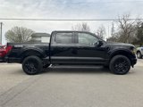 New 2025 Ford F150 XLT image 5