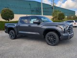 New 2025 Toyota Tundra Platinum image 2