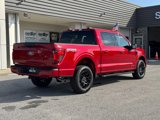 New 2025 Ford F150 XLT w/ Equipment Group 301A Standard image 3