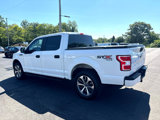 Used 2019 Ford F150 XL w/ Equipment Group 101A Mid image 4