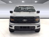 New 2025 Ford F150 XLT w/ Equipment Group 302A MID image 5