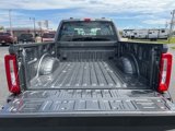 New 2025 Ford F250 XL image 6