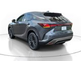 New 2025 Lexus RX 350 Premium image 3