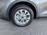 New 2025 Ford Escape Active w/ Tech Pack #1 image 6