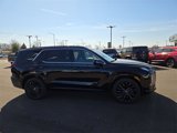 New 2025 Hyundai Palisade Calligraphy image 3