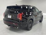 New 2025 Hyundai Palisade Calligraphy image 4