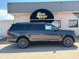 New 2025 Ford Expedition Max Platinum image 2