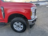 New 2025 Ford F250 XLT w/ 360-Degree Camera Package image 4