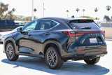 Used 2024 Lexus NX 350 AWD w/ Premium Package image 5