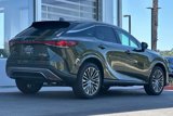 New 2025 Lexus RX 350 image 4