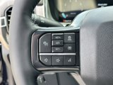New 2025 Ford F150 Platinum image 4