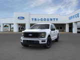 New 2025 Ford F150 STX image 2