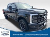 New 2025 Ford F250 Platinum image 2
