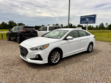 Used 2019 Hyundai Sonata SE image 2