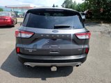 Used 2021 Ford Escape Titanium w/ Titanium Elite Package image 4