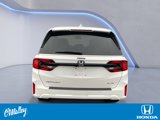 New 2025 Honda Odyssey Elite image 4