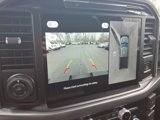 New 2025 Ford F150 XLT w/ Equipment Group 302A MID image 6