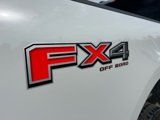 New 2025 Ford F250 XL w/ STX Appearance Package image 6