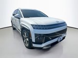 New 2026 Hyundai Ioniq 9 SEL image 3