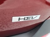 New 2026 Kia Carnival EX image 5