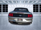 Used 2022 Ford Mustang Premium image 4