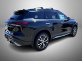 New 2025 INFINITI QX60 Autograph image 5