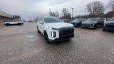 New 2025 Hyundai Palisade Calligraphy image 2
