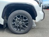 Certified 2024 Toyota Tundra Platinum image 5