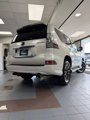 Used 2023 Lexus GX 460 Premium image 6