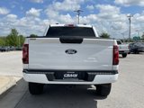 Used 2024 Ford F150 STX image 6