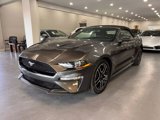 Used 2019 Ford Mustang Premium image 3