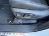 Used 2025 Toyota Sienna Platinum image 4