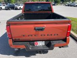 New 2025 Toyota Tacoma TRD Sport w/ TRD Sport Premium Package image 5