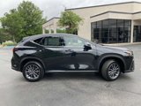 New 2025 Lexus NX 300h AWD w/ Luxury Package image 2