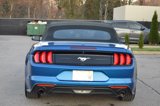 Used 2018 Ford Mustang Premium w/ Equipment Group 201A image 5