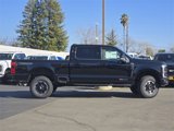 New 2025 Ford F250 Platinum w/ Tremor Off-Road Package image 2