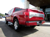 Used 2016 Ford F150 Platinum w/ Equipment Group 701A Luxury image 3
