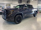 New 2025 GMC Sierra 1500 Elevation image 3