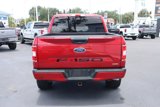 Used 2020 Ford F150 XLT w/ Equipment Group 302A Luxury image 6