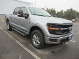 New 2025 Ford F150 XLT image 3