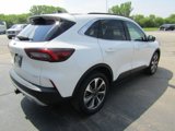 Used 2023 Ford Escape Platinum w/ Class II Trailer Tow Package image 6