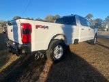 New 2025 Ford F250 XLT w/ 360-Degree Camera Package image 4