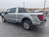 New 2025 Ford F150 XLT w/ Equipment Group 302A MID image 3