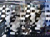 Used 2020 Buick Envision Preferred image 5