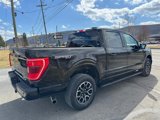 Used 2023 Ford F150 XLT w/ Equipment Group 302A High image 4