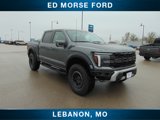 New 2025 Ford F150 Raptor image 4