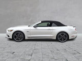 Used 2017 Ford Mustang GT Premium w/ Equipment Group 401A image 6
