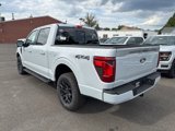 New 2025 Ford F150 XLT image 4